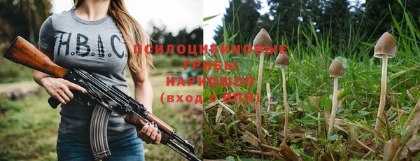 ГАЛЛЮЦИНОГЕННЫЕ ГРИБЫ Бутурлиновка