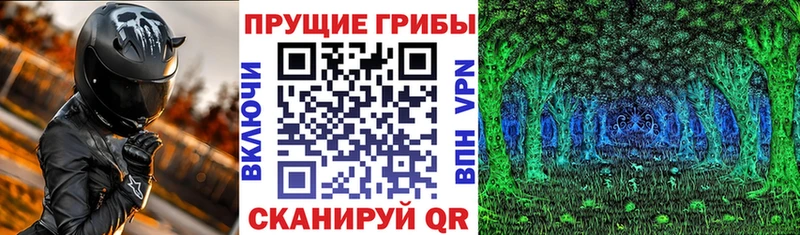 Псилоцибиновые грибы прущие грибы  где найти наркотики  Россошь 